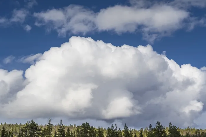 Framed Print : Cumulus Clouds Print - Lapland Forest, Sweden, May 2024 Framed Print : Cumulus Clouds Print - Lapland Forest, Sweden, May 2024