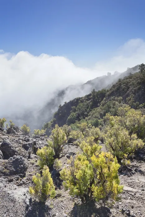 Framed Print : Cumulus Clouds Print at Pico de Malpaso, El Hierro Framed Print : Cumulus Clouds Print at Pico de Malpaso, El Hierro