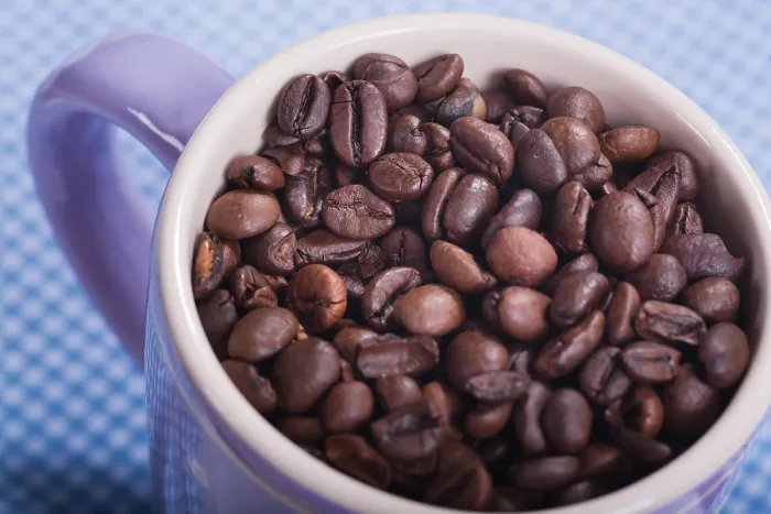 Framed Print : Coffee Bean Print Framed Print : Coffee Bean Print