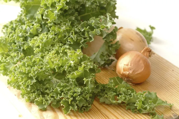 Framed Print : Curly Kale Print Framed Print : Curly Kale Print