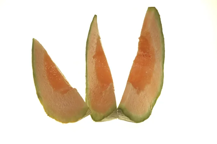 Framed Print : Cut Charentais Melon Print Framed Print : Cut Charentais Melon Print