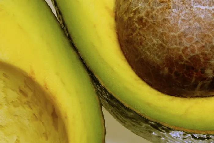 Framed Print : Avocado Cut Open Print Framed Print : Avocado Cut Open Print
