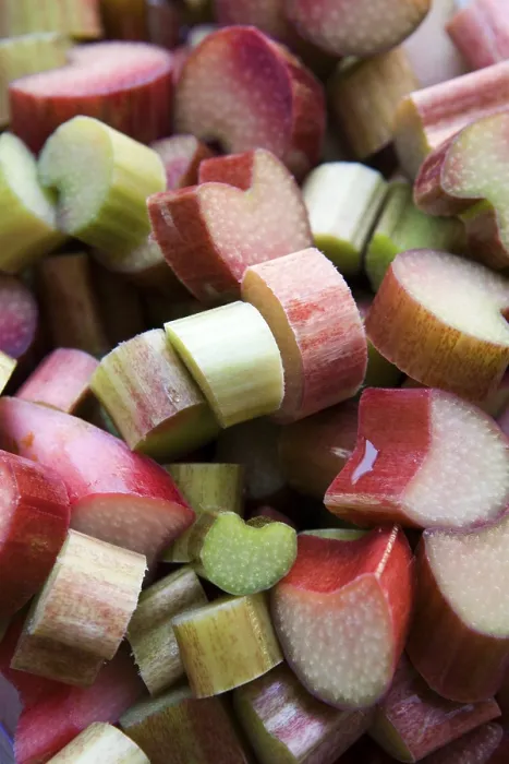 Framed Print : Cut Rhubarb in Detail Print Framed Print : Cut Rhubarb in Detail Print