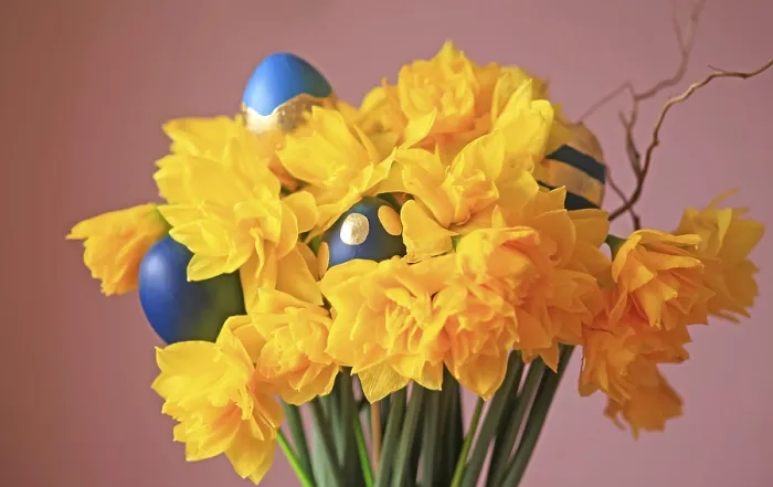 Framed Print : Daffodils and Easter Eggs Print, Dresden, Saxony Framed Print : Daffodils and Easter Eggs Print, Dresden, Saxony