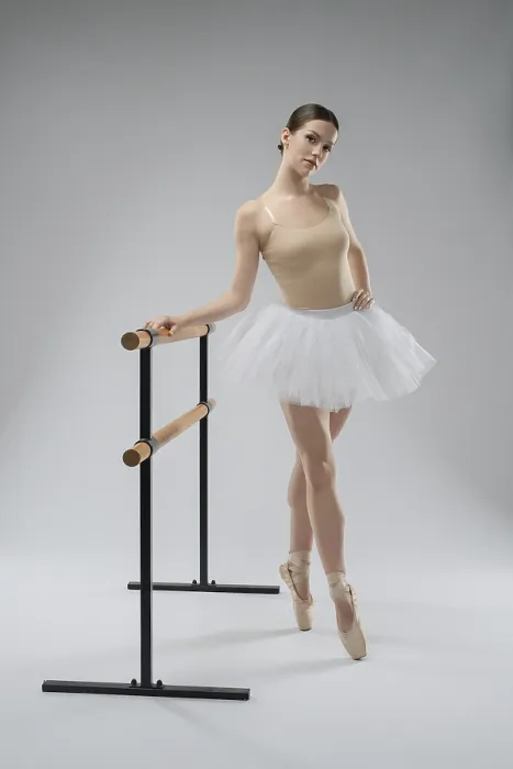 Framed Print : Elegant Dancer at the Barre Print Framed Print : Elegant Dancer at the Barre Print