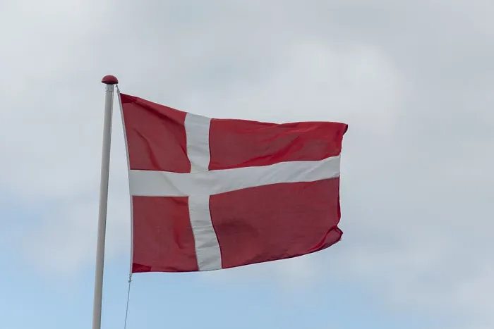 Framed Print : Denmark Danish Flag Print Framed Print : Denmark Danish Flag Print