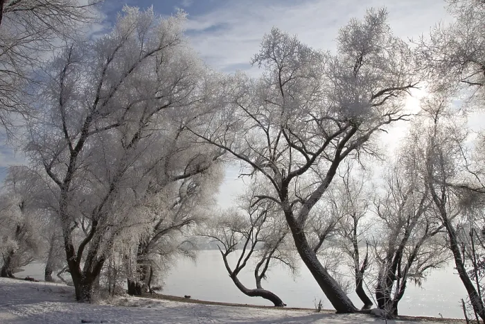 Framed Print : Danube Landscape Print Framed Print : Danube Landscape Print
