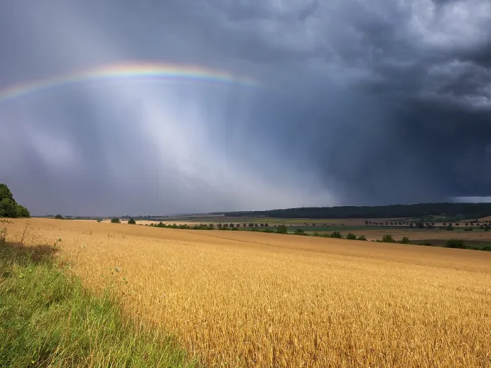 Framed Print : Dark Storm Clouds Over Wheat Field Print Framed Print : Dark Storm Clouds Over Wheat Field Print