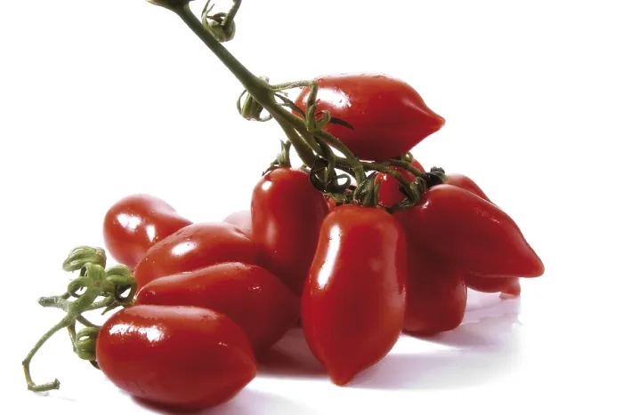 Framed Print : Date Tomatoes Print - Fresh Produce Framed Print : Date Tomatoes Print - Fresh Produce
