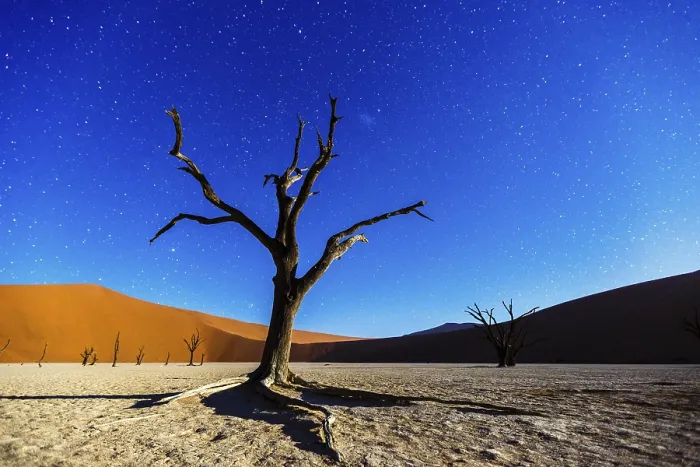 Framed Print : Dead Tree in Moonlight Print, Deadvlei, Namibia Framed Print : Dead Tree in Moonlight Print, Deadvlei, Namibia