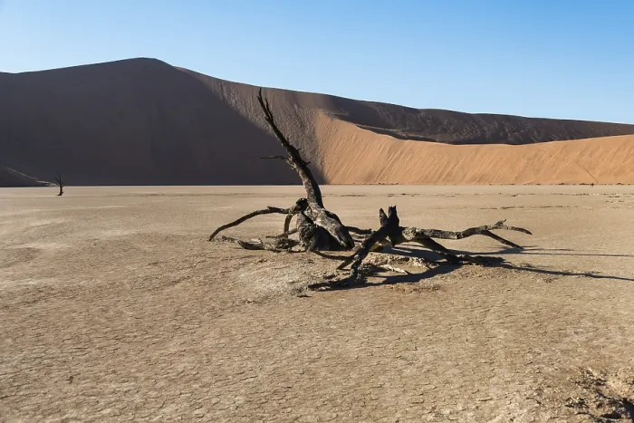 Framed Print : Dead Tree in Deadvlei, Namibia Print Framed Print : Dead Tree in Deadvlei, Namibia Print