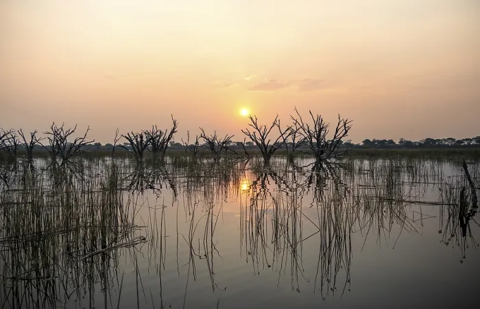Framed Print : Okavango Delta Sunset Print Framed Print : Okavango Delta Sunset Print