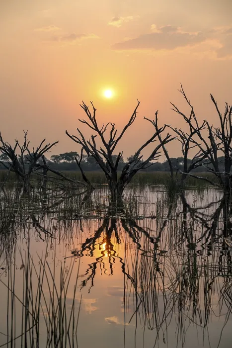 Framed Print : Okavango Delta Sunset Print Framed Print : Okavango Delta Sunset Print