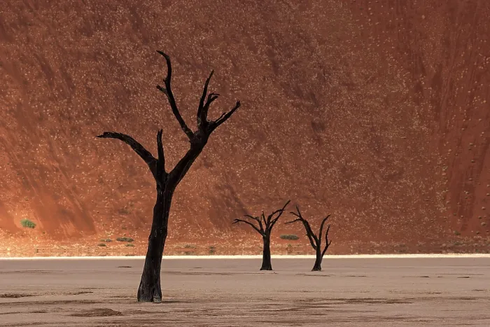 Framed Print : Dead Trees in Namib Desert Print, Deadvlei, Sossusvlei