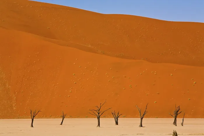 Framed Print : Deadvlei Landscape Print, Namibia