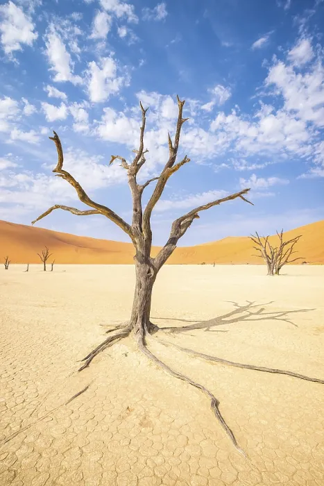 Framed Print : Deadvlei Plain Print, Namibia Desert Landscape Framed Print : Deadvlei Plain Print, Namibia Desert Landscape