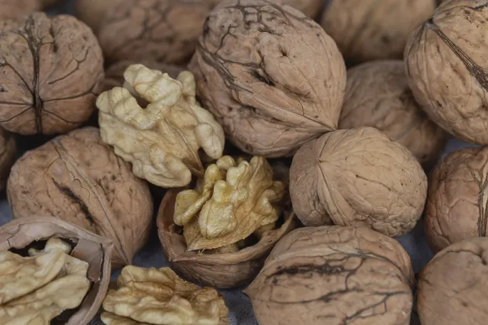 Framed Print : Decorative Fresh Walnuts from Germany Print