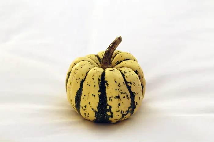Framed Print : Decorative Gourd Print Framed Print : Decorative Gourd Print