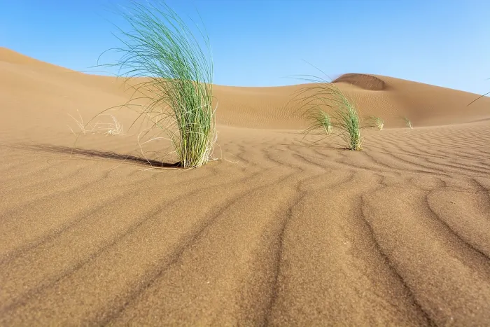 Framed Print : Desert Landscape Print of Morocco Framed Print : Desert Landscape Print of Morocco