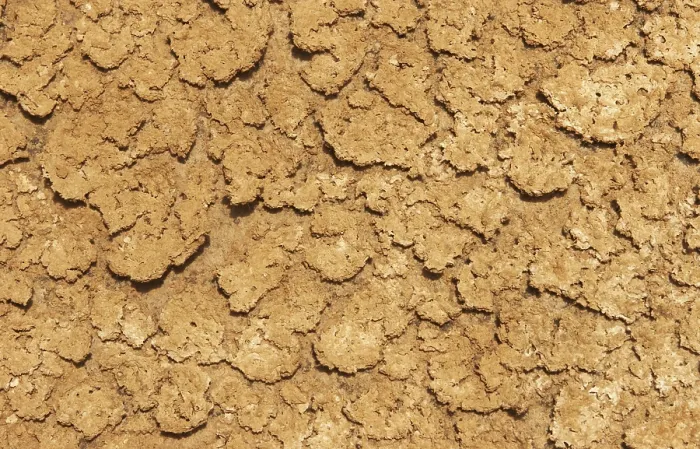Framed Print : Desiccated Mud Print Framed Print : Desiccated Mud Print