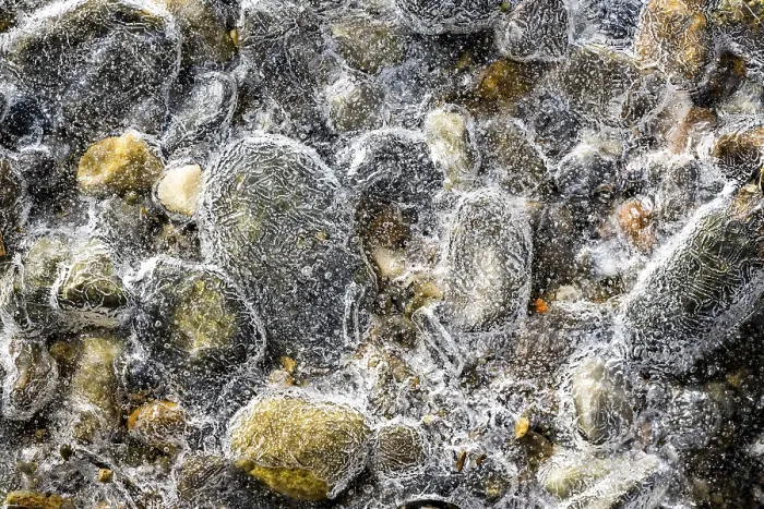 Framed Print : Details of Ice Crystals Print, Austria Framed Print : Details of Ice Crystals Print, Austria