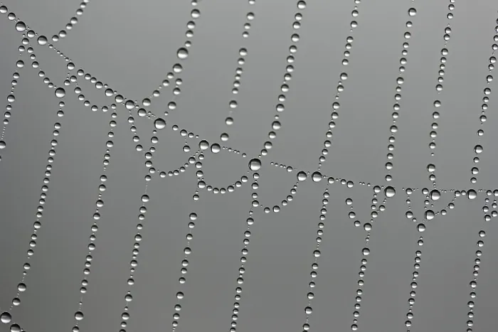 Framed Print : Macro Print of Dewdrops on a Spider Web