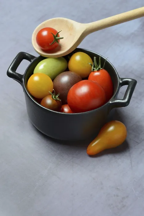 Framed Print : Cherry Tomatoes in Pot Print, Germany Framed Print : Cherry Tomatoes in Pot Print, Germany