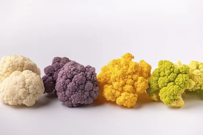 Framed Print : Different Colors of Cauliflower Print Framed Print : Different Colors of Cauliflower Print
