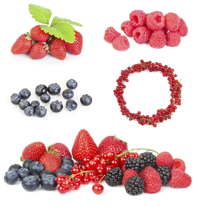 Framed Print : Fresh Berries Print on White Background Framed Print : Fresh Berries Print on White Background