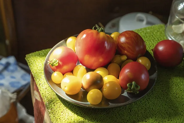 Framed Print : Different Tomatoes Ceramic Plate Print Framed Print : Different Tomatoes Ceramic Plate Print