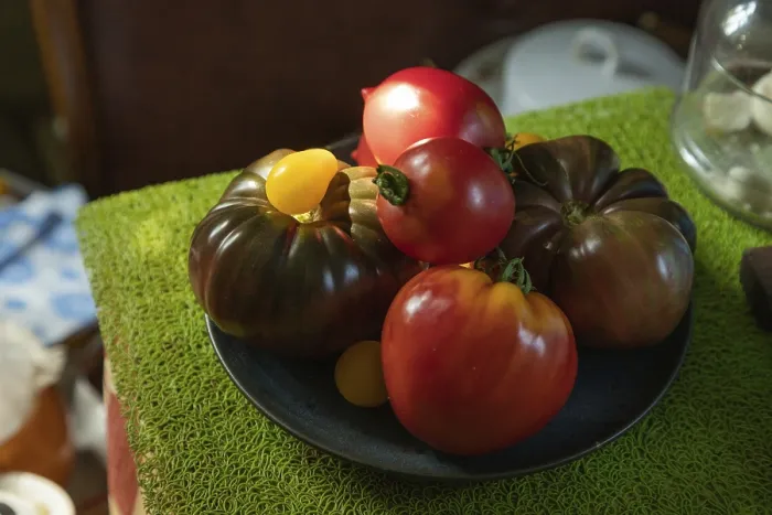 Framed Print : Different Tomatoes Ceramic Plate Print Framed Print : Different Tomatoes Ceramic Plate Print