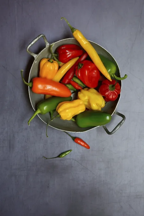 Framed Print : Different types of peppers in shell, Germany Print Framed Print : Different types of peppers in shell, Germany Print