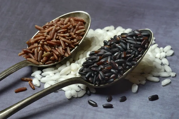 Framed Print : Print of Different Types of Rice in Germany Framed Print : Print of Different Types of Rice in Germany