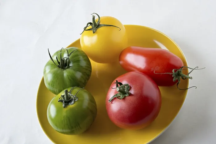 Framed Print : Different Tomatoes on a Yellow Plate Print Framed Print : Different Tomatoes on a Yellow Plate Print