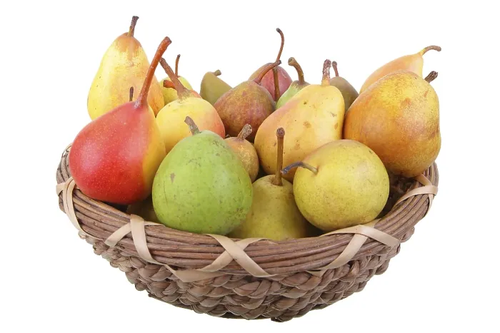 Framed Print : Different Varieties of Pears Print, Germany Framed Print : Different Varieties of Pears Print, Germany