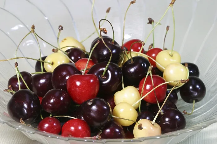 Framed Print : Cherry Sorts in a Bowl Print Framed Print : Cherry Sorts in a Bowl Print