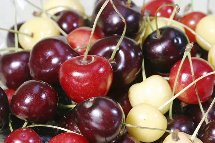 Framed Print : Colorful Cherry Mix Print Framed Print : Colorful Cherry Mix Print