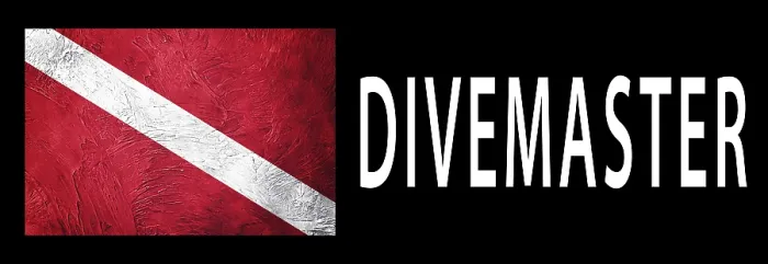 Framed Print : Scuba Diving Print: Divemaster and Diver Down Flag Framed Print : Scuba Diving Print: Divemaster and Diver Down Flag
