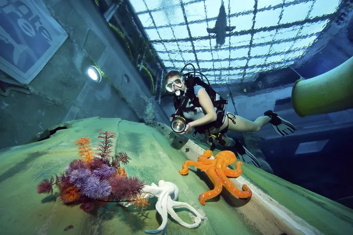 Framed Print : Monte Mare Diver in Indoor Pool Print Framed Print : Monte Mare Diver in Indoor Pool Print
