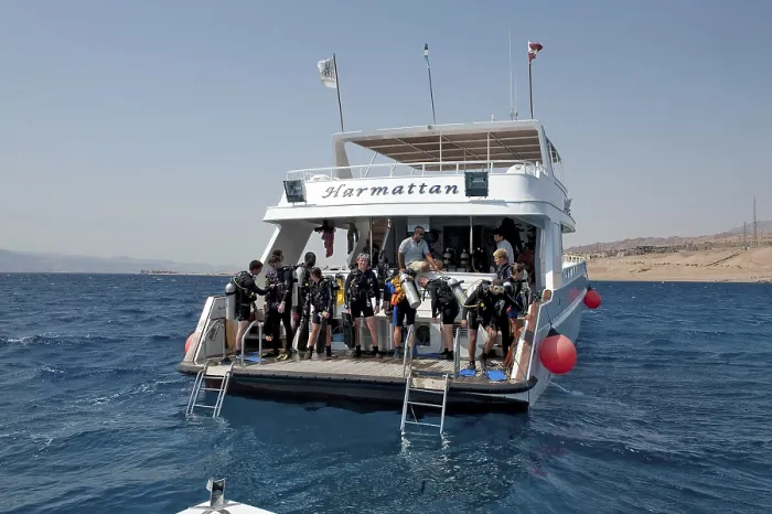 Framed Print : Divers on Diving Platform, Red Sea Print Framed Print : Divers on Diving Platform, Red Sea Print