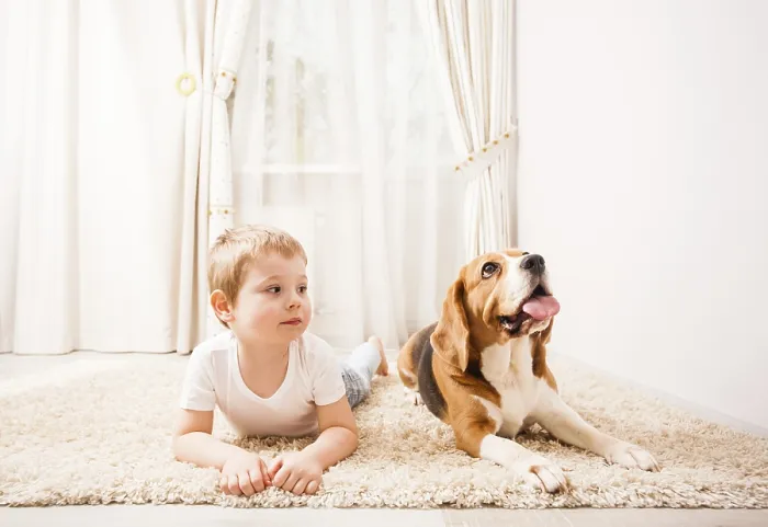 Framed Print : The Dog and the Boy Playing Together Print Framed Print : The Dog and the Boy Playing Together Print