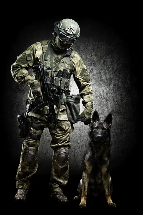 Framed Print : Airport Border Protection Print: Dog Handler and Shepherd Framed Print : Airport Border Protection Print: Dog Handler and Shepherd