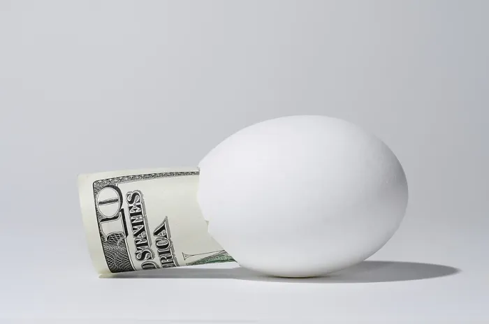 Framed Print : The Ten Dollar Bill in a Chicken Egg Print Framed Print : The Ten Dollar Bill in a Chicken Egg Print