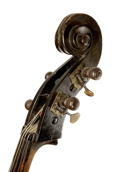 Framed Print : Double Bass Head Print Framed Print : Double Bass Head Print