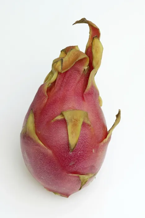 Framed Print : Triangular Hylocereus Dragon Fruit Print Framed Print : Triangular Hylocereus Dragon Fruit Print