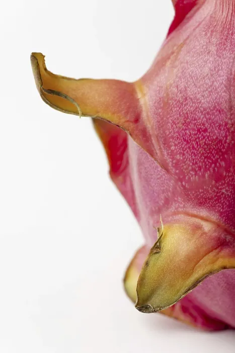 Framed Print : Dragon Fruit Print on White Background Framed Print : Dragon Fruit Print on White Background