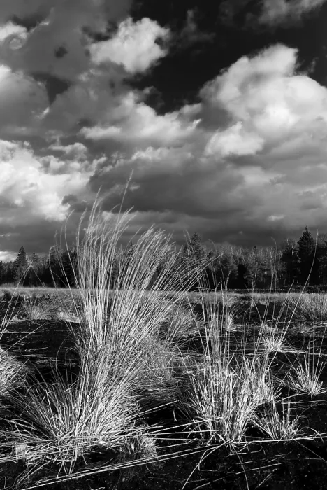 Framed Print : Dramatic clouds over former peat bog, Bavaria Print Framed Print : Dramatic clouds over former peat bog, Bavaria Print