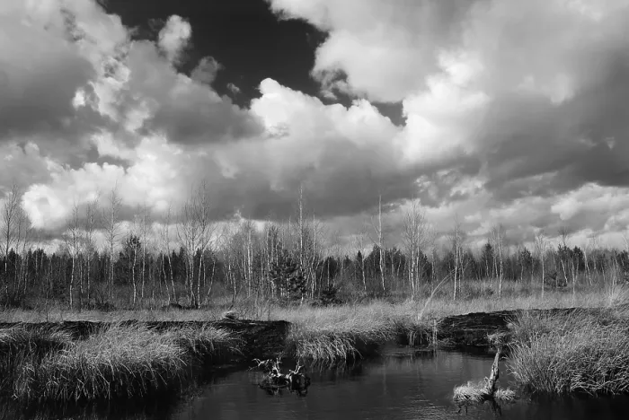 Framed Print : Dramatic clouds over former peat bog Print, Bavaria, Germany Framed Print : Dramatic clouds over former peat bog Print, Bavaria, Germany