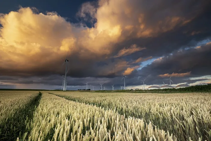 Framed Print : Dramatic Shower Cloud Print over Wheat Field and Windmills Framed Print : Dramatic Shower Cloud Print over Wheat Field and Windmills