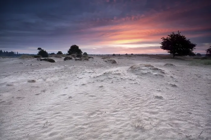 Framed Print : Dramatic Sunrise Print over Sand Dunes Netherlands Framed Print : Dramatic Sunrise Print over Sand Dunes Netherlands